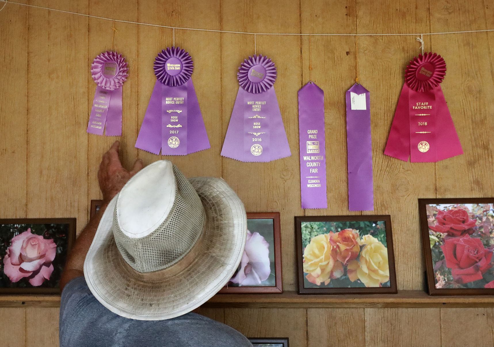 Rose gardener has won many awards